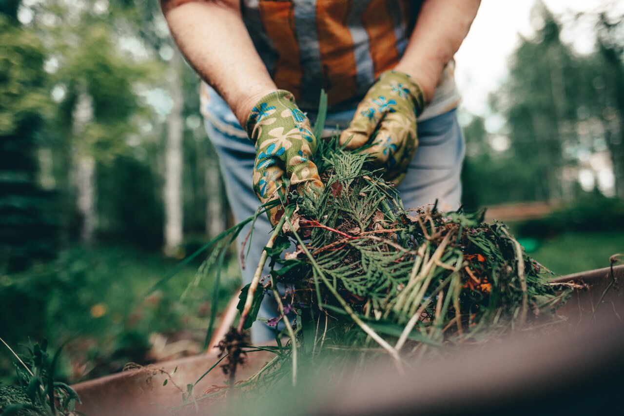 Photo inspiration: Gallery Detail: Waste Disposal For Landscaping Projects In Birmingham Al